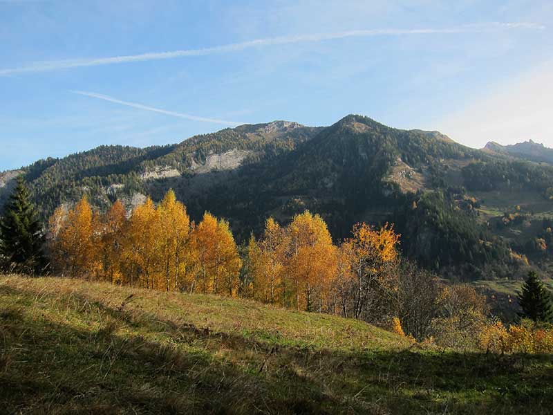 Bernkogel